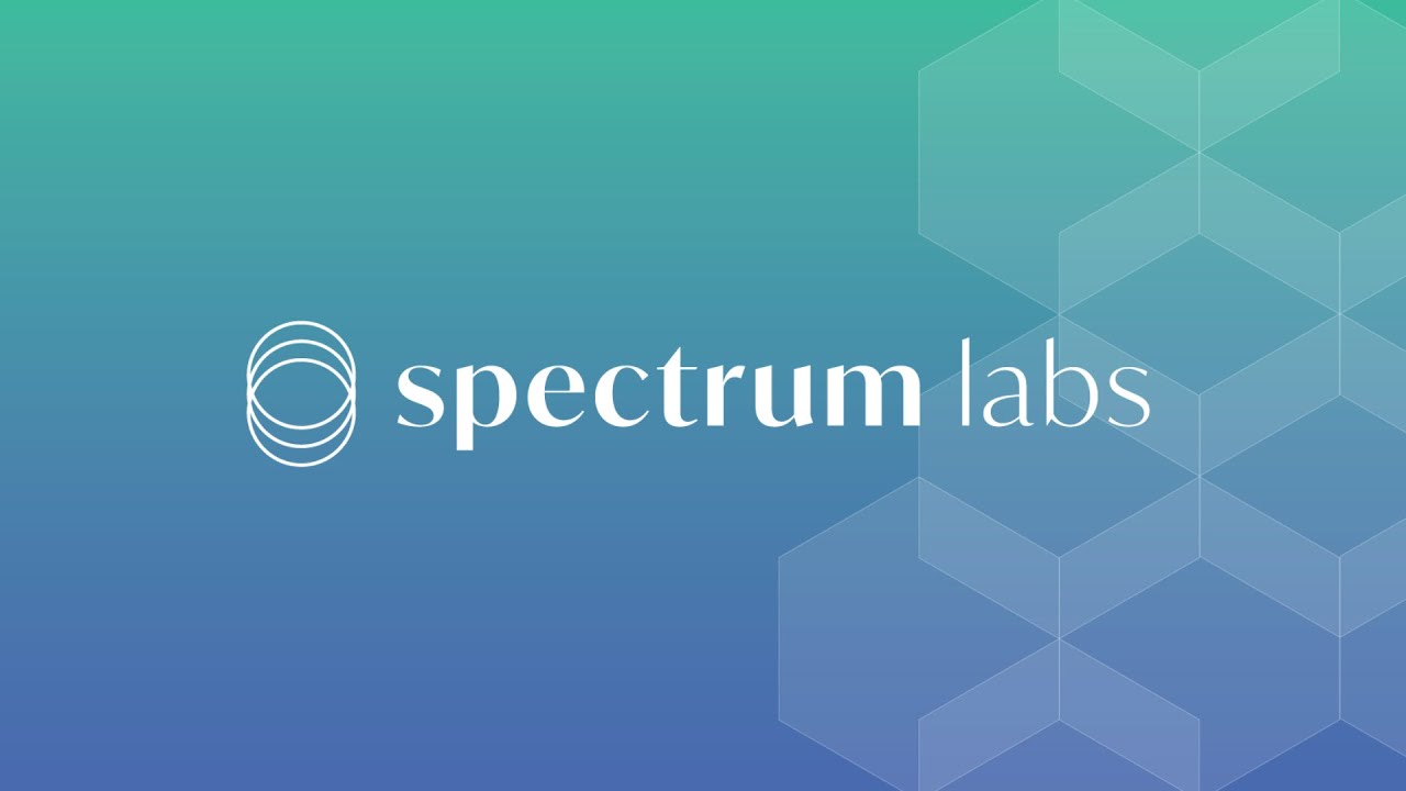 spectrum labs case study